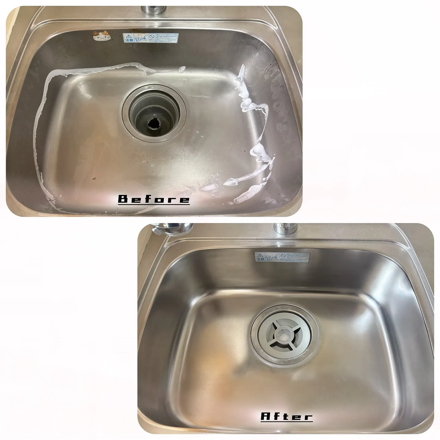 本日は熊本市にて